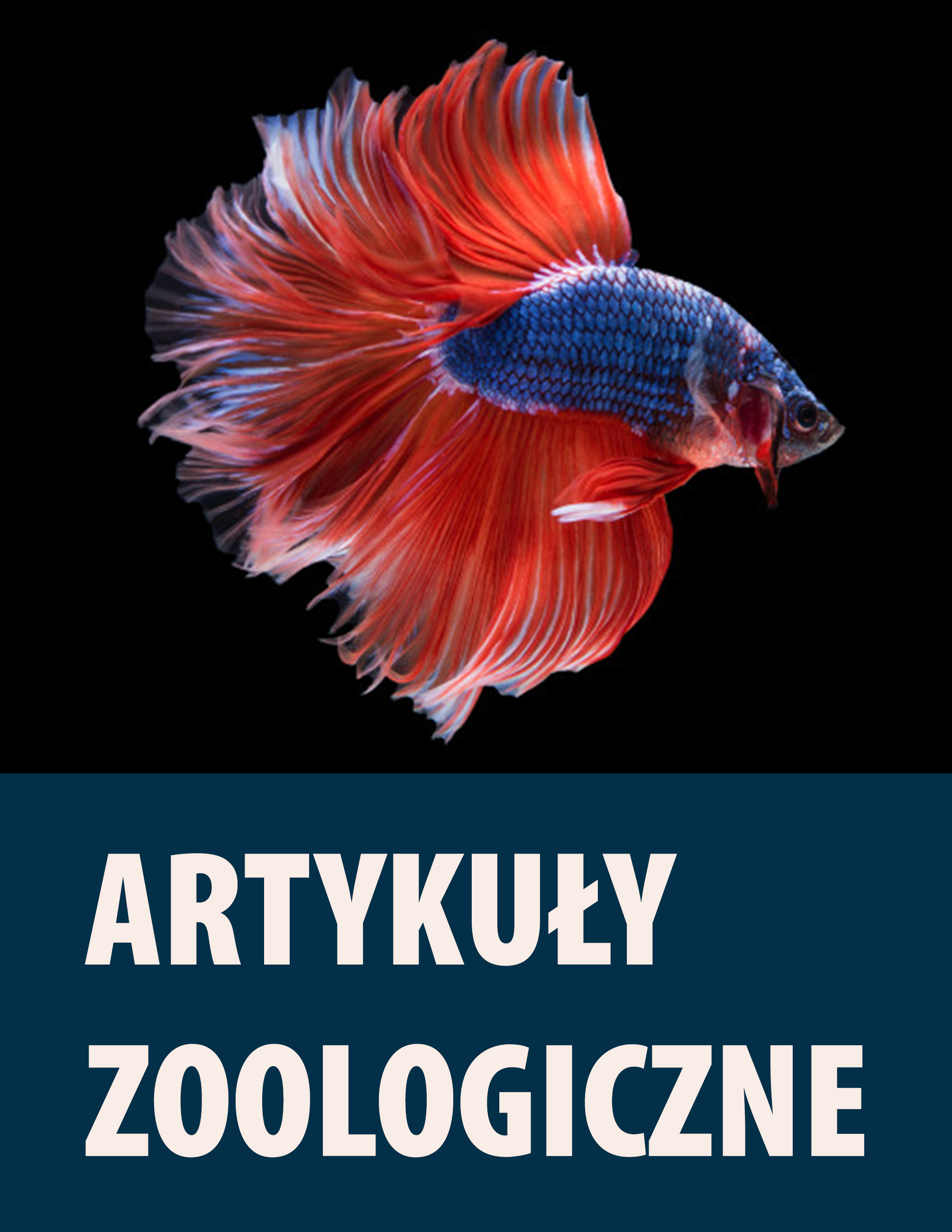 portfolio/glos24 reklama internetowa sklep zoologiczny.jpg